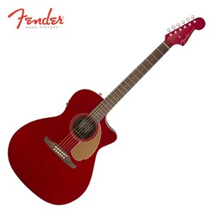 펜더(Fender) 뉴포터 플레이어(NewPoter Player)